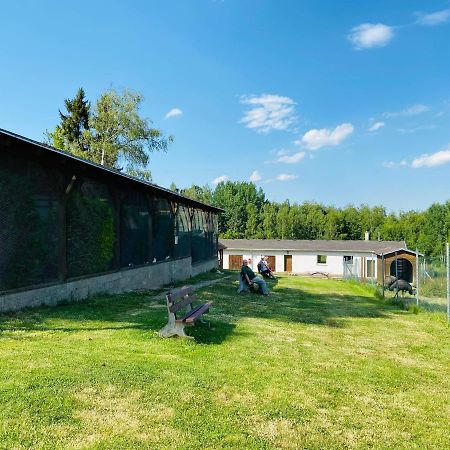 Garni Hotel Pyramida Cheb Exteriör bild